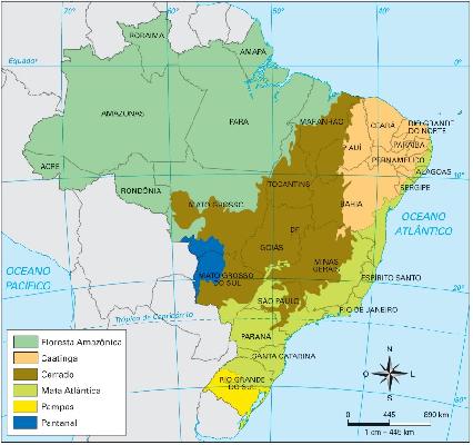 E Deus criou o Paraíso (I)