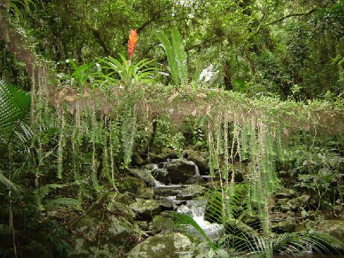 Cultivar e guardar a criação (III)